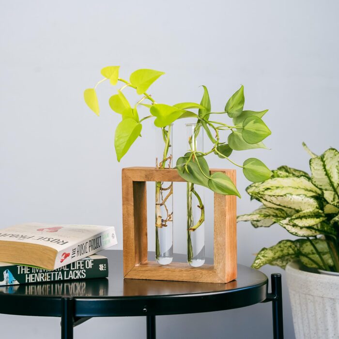 TrustBasket Test Tube Planter - Image 1